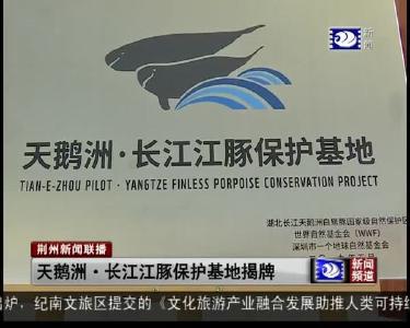 天鹅洲·长江江豚保护基地揭牌