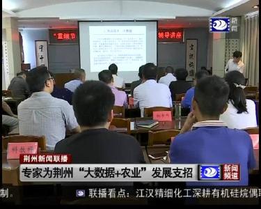 专家为荆州“大数据+农业”发展支招