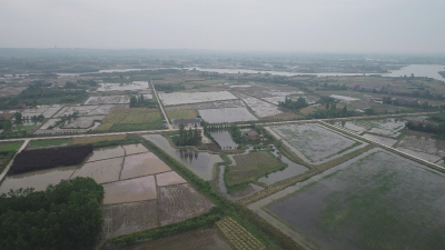 上半年荆州全市农业总产值将超230亿元，同比增长3.5%