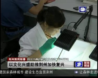 荆州新闻联播 2019-06-11