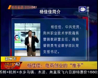 杨佳佳：电商创业的“推手”