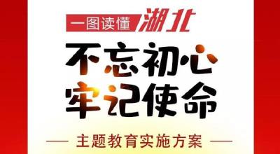 官宣！湖北方案来了！全省党员干部请收好这张图