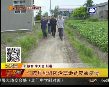 江陵县积极防治草地贪夜蛾疫情