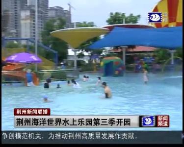 荆州新闻联播 2019-06-16
