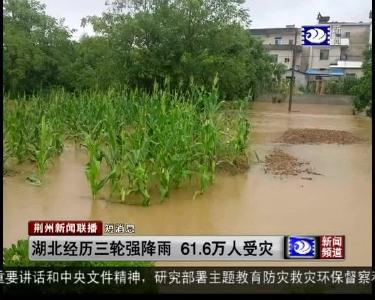 短消息：湖北经历三轮强降雨 61.6万人受灾