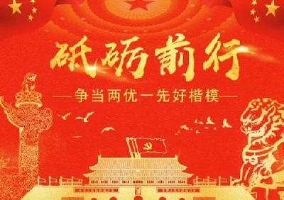 荆州区2019年度“两优一先”拟表彰名单公示
