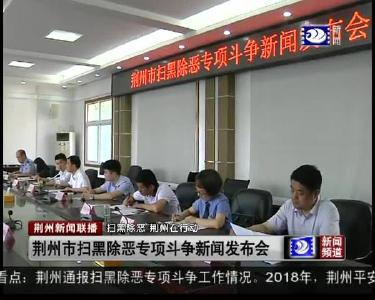 荆州市扫黑除恶专项斗争新闻发布会