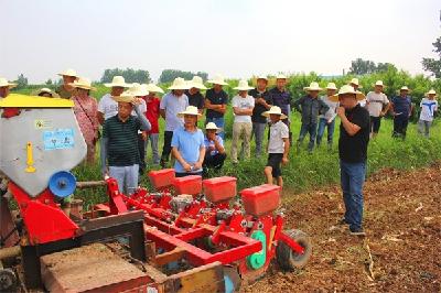 提高秸秆利用价值 荆州区开展玉米生产全程机械化推广