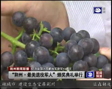 荆州新闻联播 2019-07-30