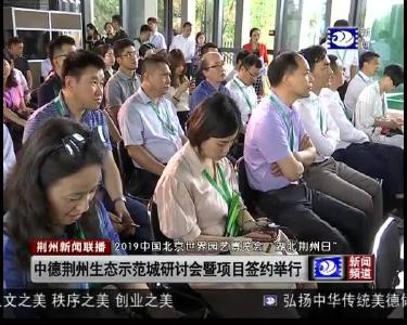 荆州新闻联播 2019-07-06