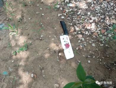 “天降三把菜刀”案嫌疑人逮住了！