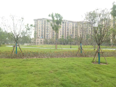 荆州：还绿于民“空地”旧貌换新颜