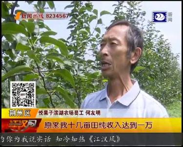 双垱华丽变身 水果产业托起 “美丽乡村”