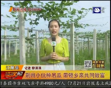 荆州小伙种吊瓜 带领乡亲共同致富