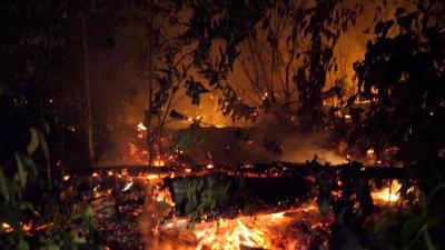 “地球之肺”在燃烧，记者探访受灾区