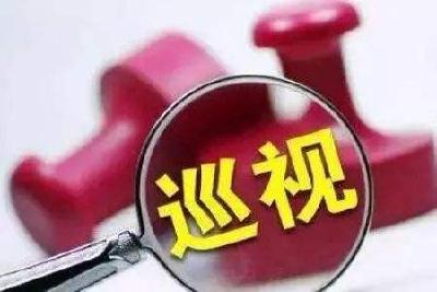 市委第一巡察组进驻荆州区开展扫黑除恶专项巡察公告