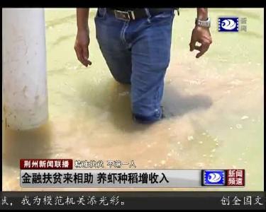 金融扶贫来相助 养虾种稻增收入