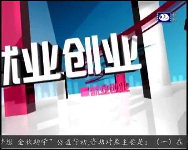 招聘夜市进景区 2500个岗位等着你