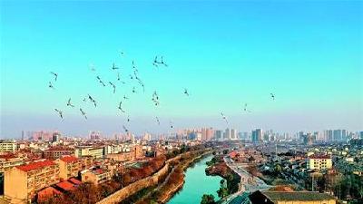 荆州把湿地公园建成自然学校，竖立350多块宣传牌