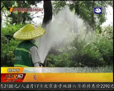 夏季高温 城区公园开启抗旱模式