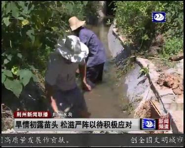 旱情初露苗头 松滋严阵以待积极应对