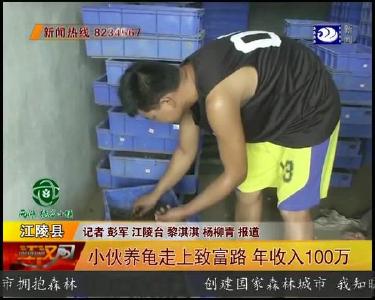 小伙养龟走上致富路 年收入100万