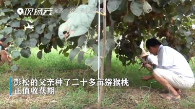 警察儿子病逝，独臂父亲决定子债父偿