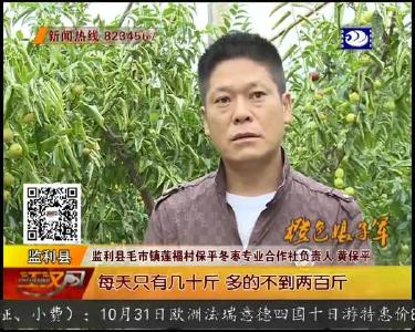 甜蜜冬枣滞销 监利农场主急盼销路