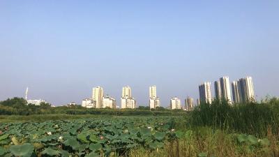 荆襄河公园：古城湿地美景拍不尽，人水和谐共绘新画卷