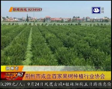 荆州市成立首家果树种植行业协会