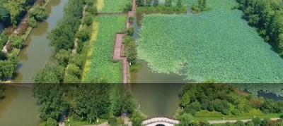 【绿色发展】古城湿地美景拍不尽 人水和谐共绘新画卷