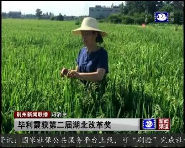 短消息：毕丽霞获第二届湖北改革奖