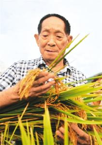 袁隆平：我有一个梦想