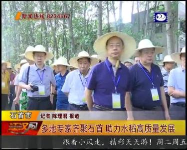 多地专家齐聚石首 助力水稻高质量发展