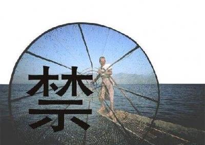 重磅！ 明年开始 长江流域实施为期十年的常年禁捕