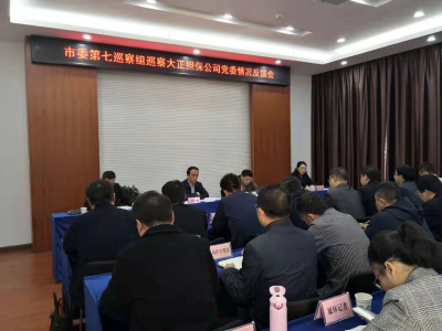 市委第七巡查组向大正担保公司党委反馈巡查情况