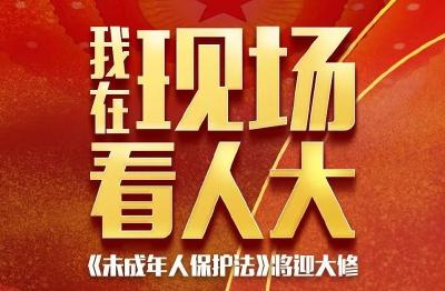 《未成年人保护法》将迎大修，到底怎么修？