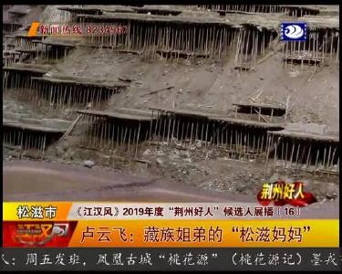 卢云飞：藏族姐弟的 “松滋妈妈”