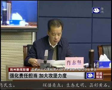 荆州市扫黑除恶专项斗争领导小组第十次全体(扩大)会议召开