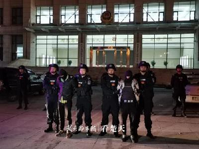 跨越印度洋，湖北警方从赞比亚带回2名涉黑恶团伙成员 