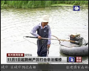 短消息：11月1日起荆州严厉打击非法捕捞
