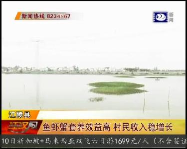 鱼虾蟹套养效益高 村民收入稳增长