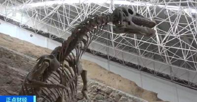 重大发现！甘肃永靖再次发现巨龙形类恐龙骨骼化石