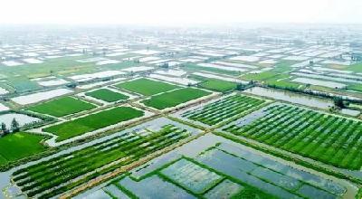 好消息！洪湖荣获“全国农产品质量安全县”称号