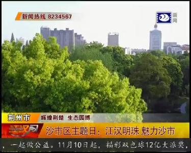 沙市区主题日：江汉明珠 魅力沙市