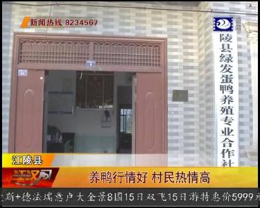 养鸭行情好 村民热情高