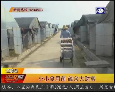 小小食用菌 蕴含大财富