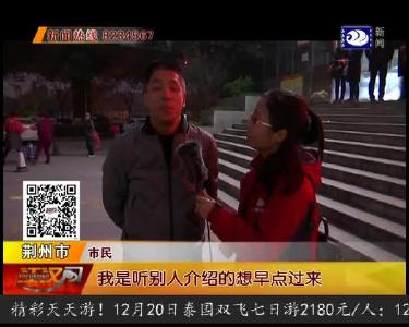 我们一起拼猪猪 热闹开场啦!