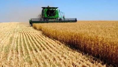 湖北14家农企入选农业产业化国家重点龙头企业