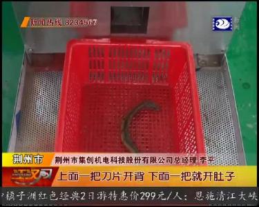 这个发明不简单 秒杀泥鳅黄鳝